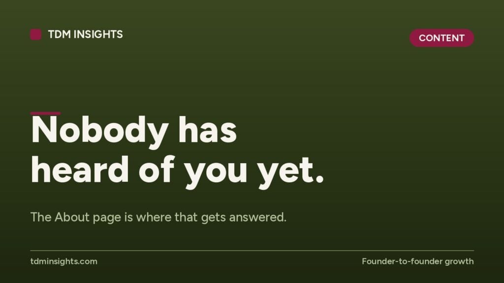 TDM Insights website header with the text 'Nobody has heard of you yet'.